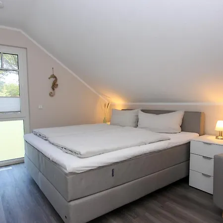 Darsskoenig * 普雷罗