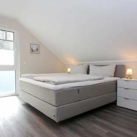 Darsskoenig 普雷罗